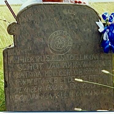 North West, DELAREYVILLE district, Sannieshof, Tweebosch 318_1, farm cemetery