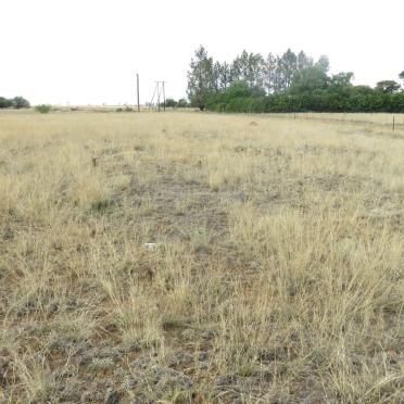 North West, DELAREYVILLE district, Kopje Zyn Pan or Zoutpan 221, Koppiespan, farm cemetery