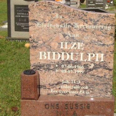 BIDDULPH Ilze 1966-1999
