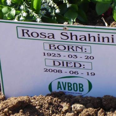 SHAHINI Rosa 1923-2008