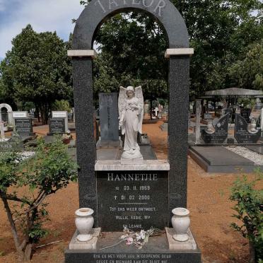 TAYLOR Hannetjie 1959-2000