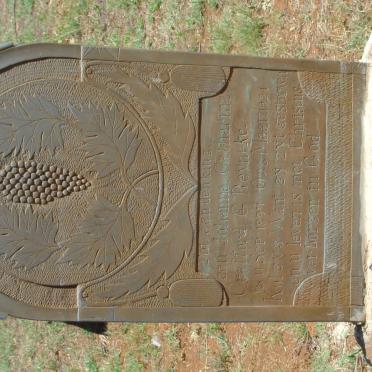 CRAFFORD Johanna Catharina nee REYNEKE 1897-1921