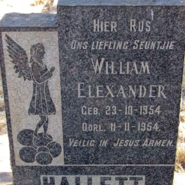 HALLETT William Elexander 1954-1954