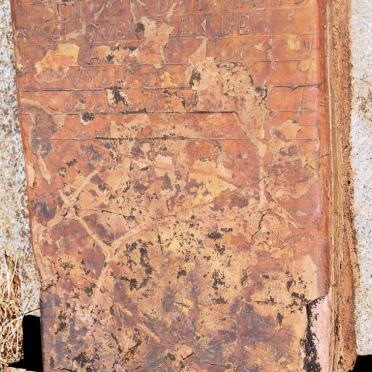 HEERDEN Schalk Wellem Jakobus, van 1901-1901