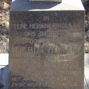 HUMAN Fe?da 1952-1953