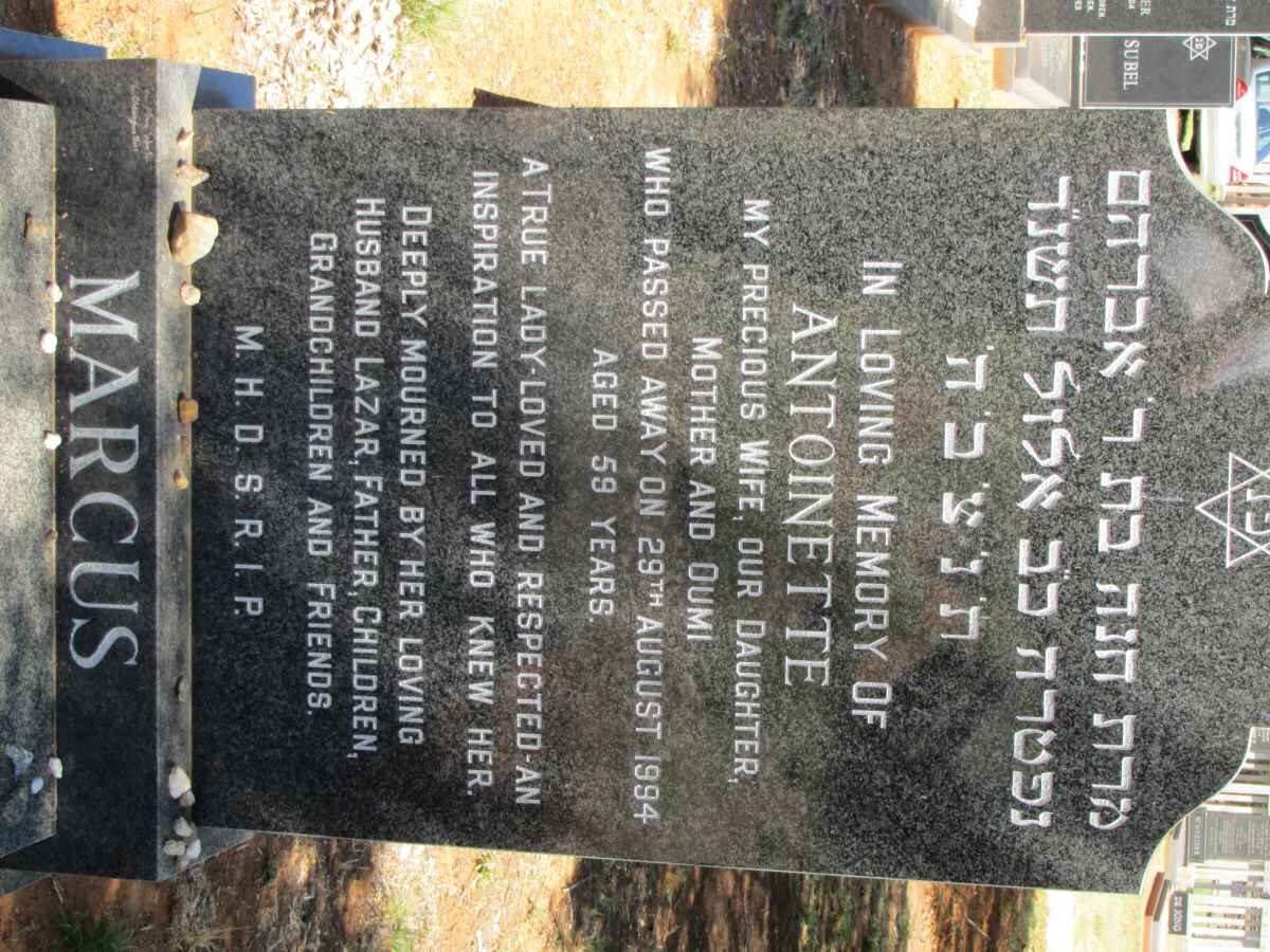 MARCUS Antoinette -1994