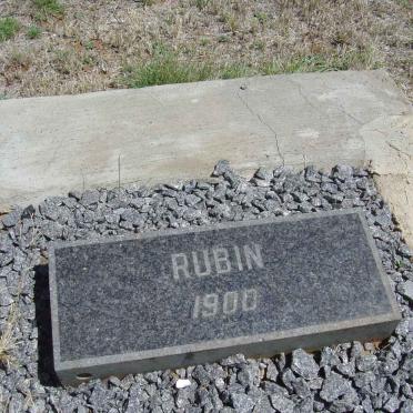 RUBIN ? -1900