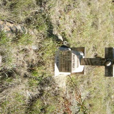 SCHUSTER Harrisson Richard -1901