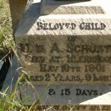 SCHUSTER Harrisson Richard -1901