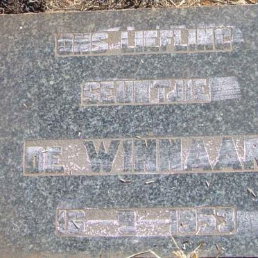 WINNAAR ?, de 1953-1953