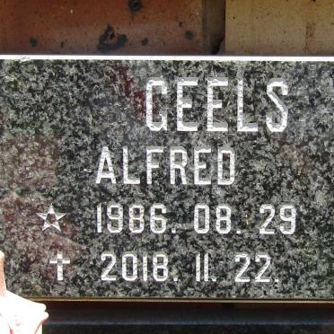 GEELS Alfred 1986-2018