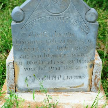 ERASMUS Aletta Jacoba 1891-1894