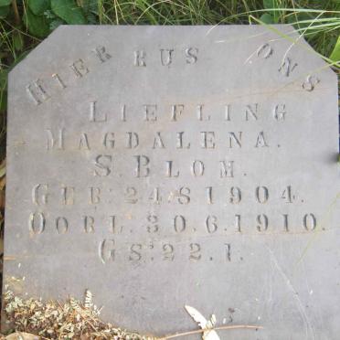 BLOM Magdalena S. 1904-1910