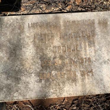 North West, KLERKSDORP district, Palmietfontein 374, farm cemetery