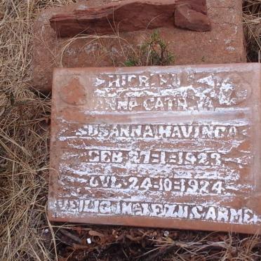 HAVINGA Anna Catrina Susanna 1923-1924