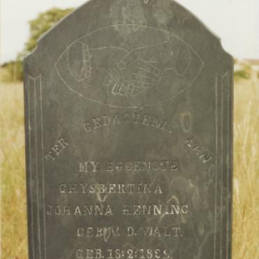 HENNING Ghysbertina Johanna nee VAN DER WALT 1892-1933