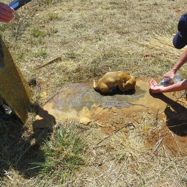 3. Grave hunting is hard work!