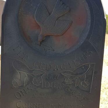 ELS Cornelis Meyer 1936-1936