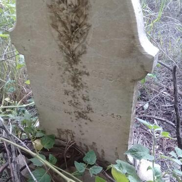 WALT Susara Jacoba, van der nee ELOFF 1849-1905