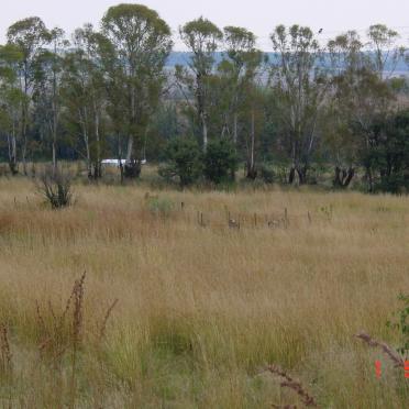 North West, KOSTER district, Vlakdrif, Vlakfontein 385, farm cemetery_2