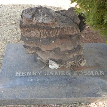 BOSMAN Henry James 1947-2005