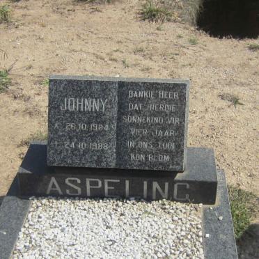 ASPELING Johnny 1984-1988