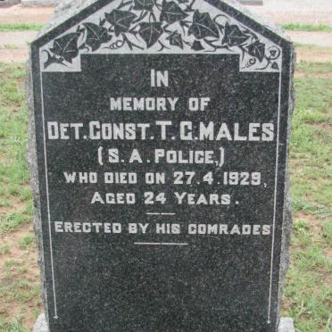 MALES T.G. -1929