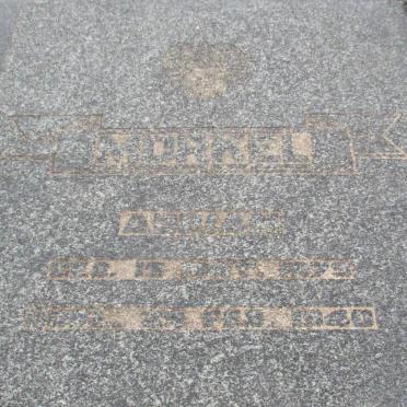 MORKEL Adriaan 1875-1940