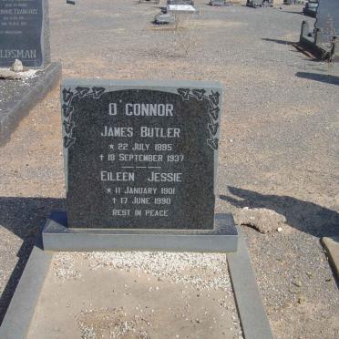 Oc - Surnames starting with the letters Oc