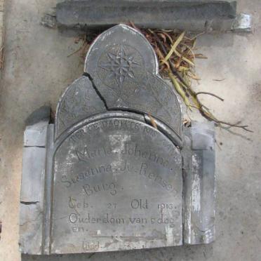 RENSENBURG Maria Johanna Susanna, J. van 1916-1916