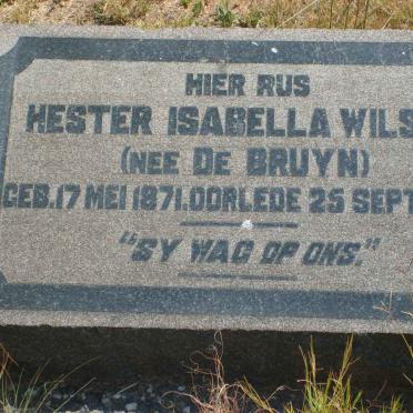 WILSON Hester Isabella nee DE BRUYN 1871-1928