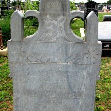 ZWIEGERS Willem Barend Johannes 1856-1929