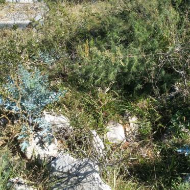 North West, LICHTENBURG district, Rooigrond, Grootfontein 115, farm cemetery