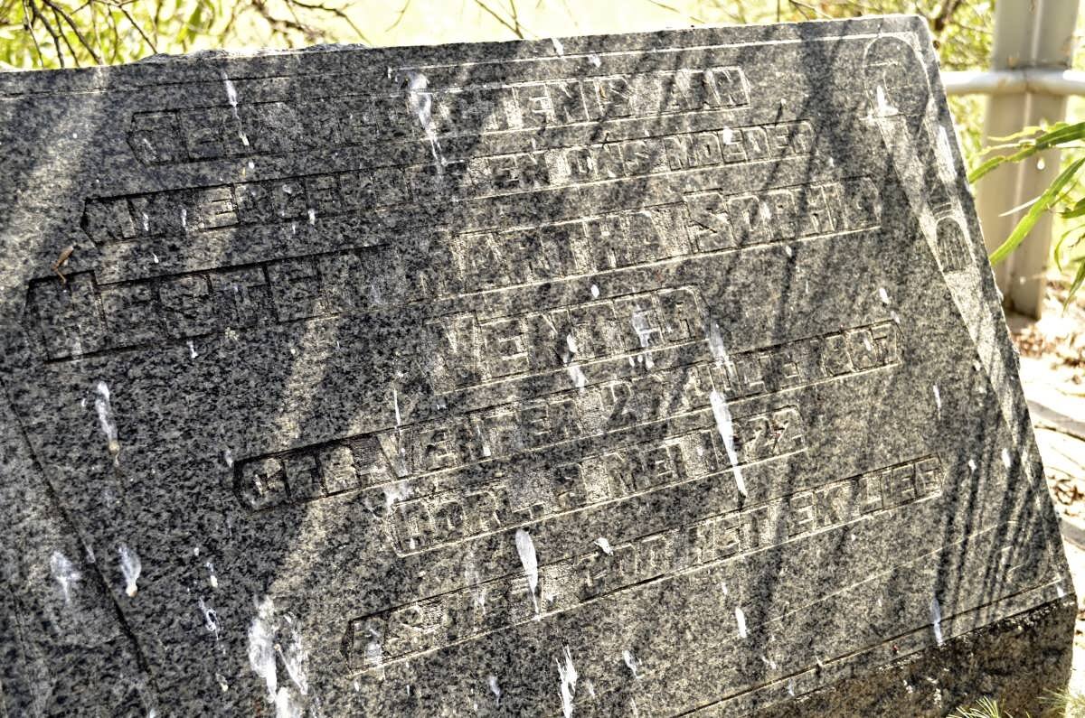 VENTER Hester Martha Sophia nee VENTER 1867-1922