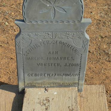 VORSTER Barend Johannes 1897-1898