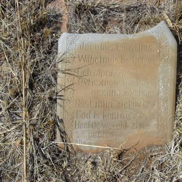 BADENHORST Jacobus Cornelius Wilhelmus 1831-1911