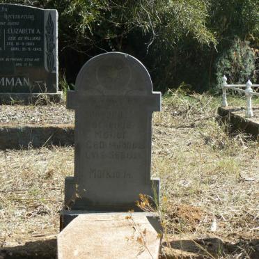 MOLLER Cornelius 1920-1921