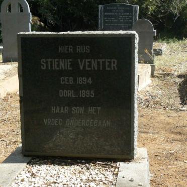 VENTER Stienie 1894-1895