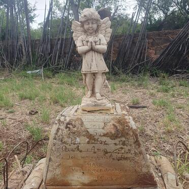 North West, LICHTENBURG district, Trekdrif 360, farm cemetery _03