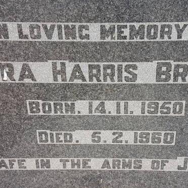 BROWN Vera Harris 1950-1960