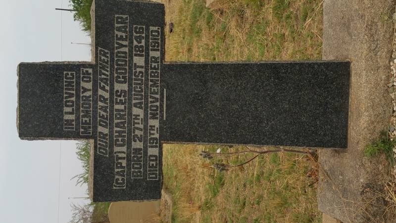 GOODYEAR Charles 1846-1910