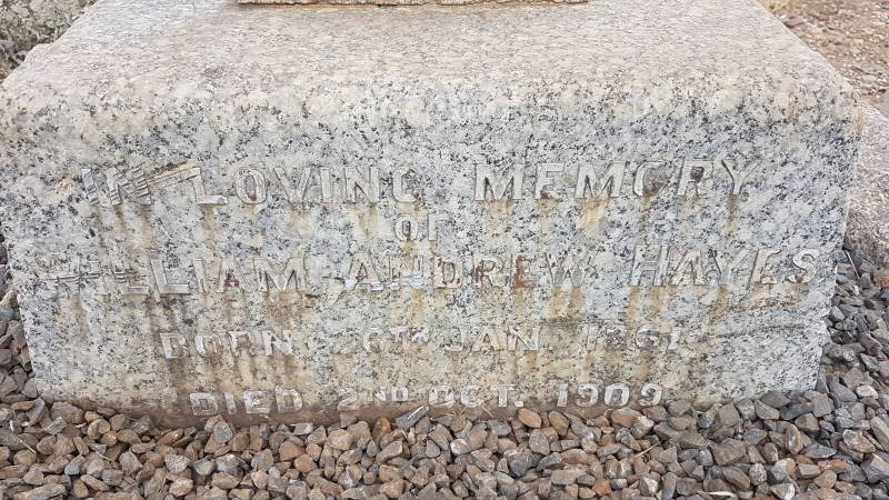 HAYES William Andrew 1861-1909