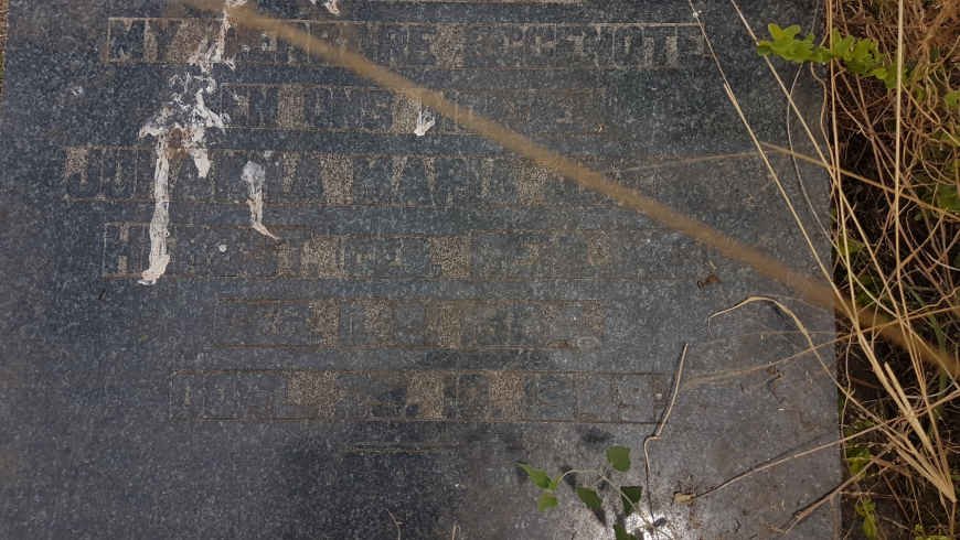 HERBST Johanna Maria Jacoba nee REHLING 18?4-1949