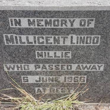 LINDO Millicent -1966