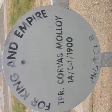 MOLLOY Corvas -1900
