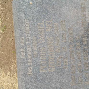 NEL Petrus Daniel Gerhardus 1909-1952