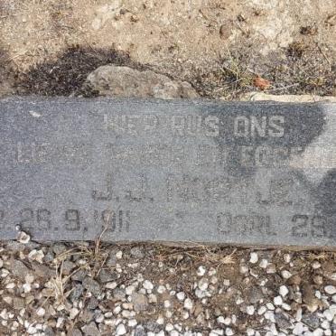 NORTIER J.J. 1911-19?5