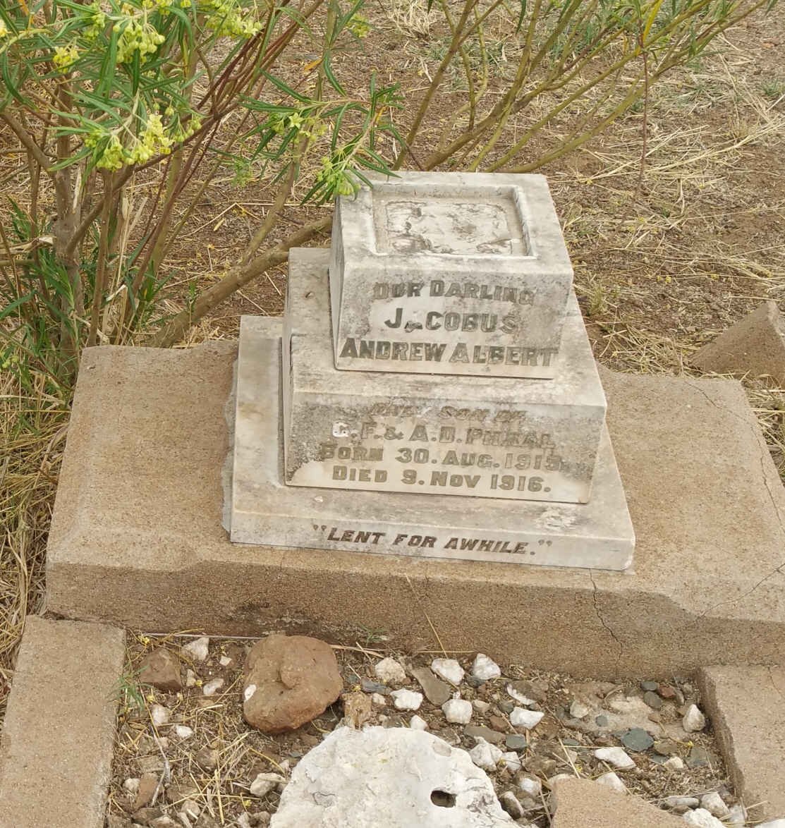 PHAAL Jacobus Andrew Albert 1915-1916