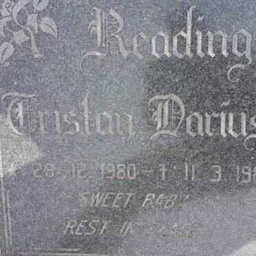 READING Cristan Darius 1980-1981