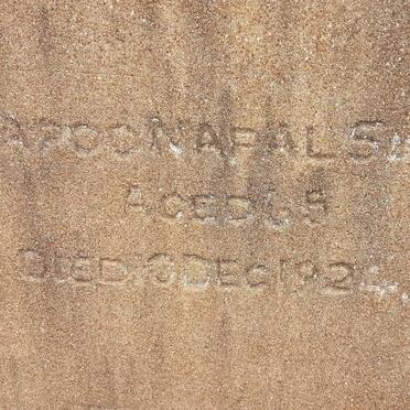 SINGH Baroo Napal -1924